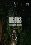 Big Bugs: Kleine Krabbler ganz groß