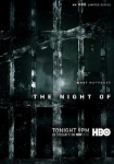 The Night Of: Die Wahrheit einer Nacht